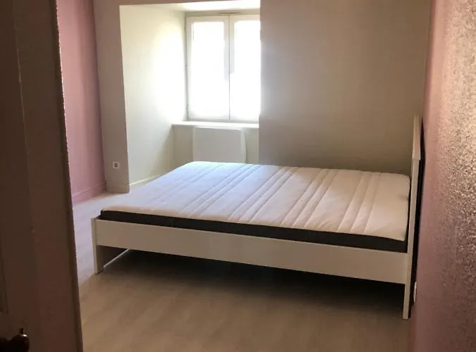 شقة Porte Du Cantal ماسياك