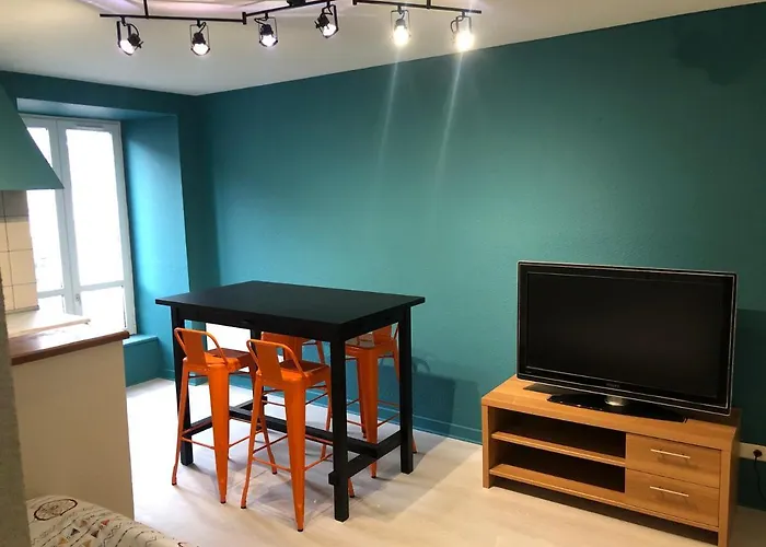 شقة Porte Du Cantal ماسياك