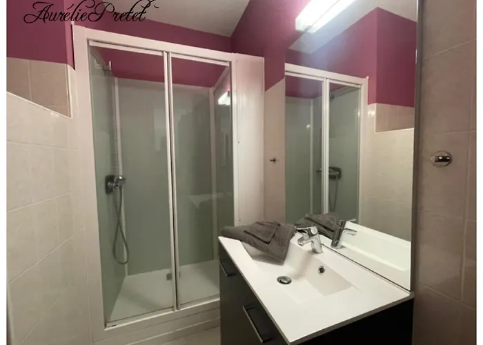 شقة Porte Du Cantal ماسياك